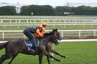 Prima Park's Lot 67 and Lot 77 breezing down the Te Rapa straight.